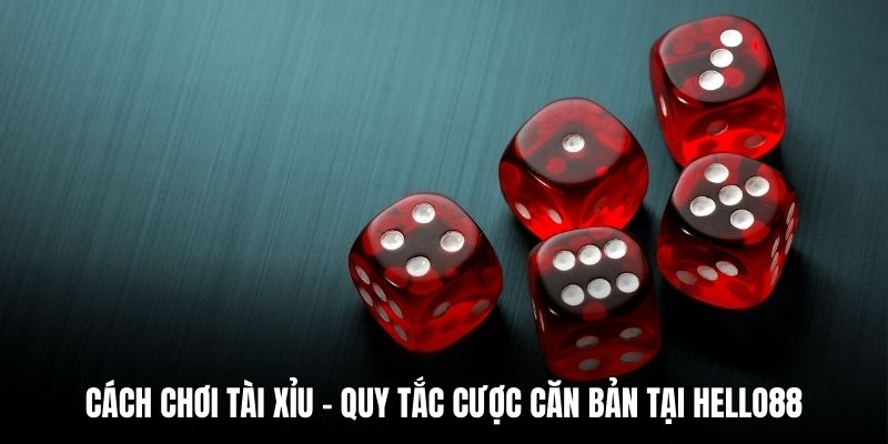 cách chơi tài xỉu